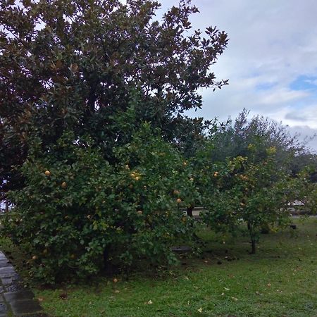 Villa Pellicano -Il Nido Castellammare di Stabia Luaran gambar