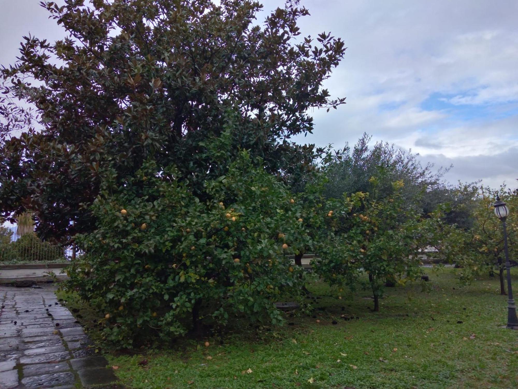 Villa Pellicano -Il Nido Castellammare di Stabia Luaran gambar